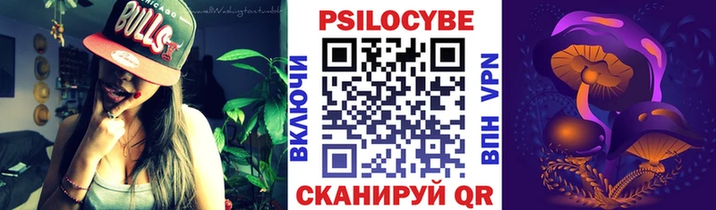Галлюциногенные грибы Psilocybe Валдай