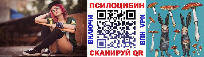Псилоцибиновые грибы Psilocybine cubensis  Валдай 